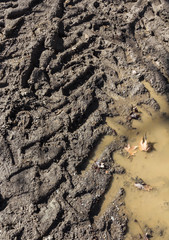 Wheel tracks on the soil