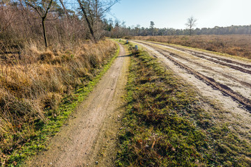 Fototapeta na wymiar Curved sandy path in a rural landscape