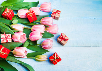 Fresh pink tulips, gift on a blue wooden background. Place for your text 