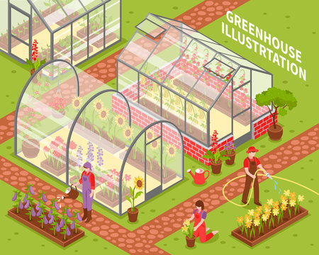 Colored Greenhouse Composition