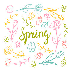 Floral background, spring theme, greeting card, background