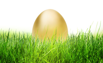 Goldenes Ei im Gras