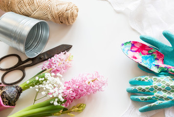 Gardening concept. Still life of seedling hyacinth, garden tools, scissors, twine, tubers-bulbs gladiolus with copy space. Top view. Spring background.
