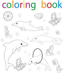 Vector, book coloring sea dolphin