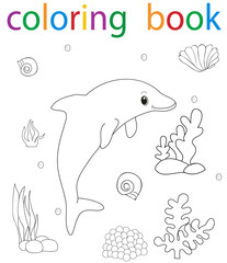 book coloring sea dolphin