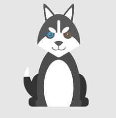 Puppy husky icon with heterochromia.