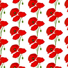 Background with poppies flowers