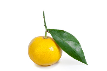 Mandarin isolated on white background