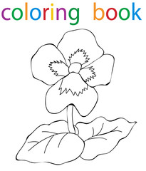 Vector, book coloring flower cartoon pansies