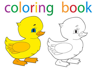 Vector, book coloring cartoon ducks