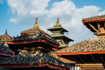 Fototapeta premium Pigeons Covering the Roofs of Ancient Temples in Kathmandu, Nepal