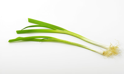 Fototapeta premium Fresh green onions