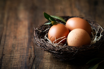 Happy Easter concept - rustic bird nest with three fresh eggs and an olive branch against dark rustic wooden background