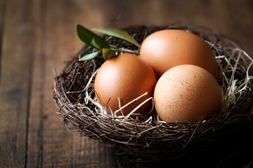 Happy Easter concept - rustic bird nest with three fresh eggs and an olive branch against dark rustic wooden background