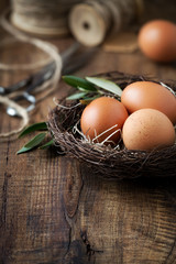 Easter setting - Easter eggs in a nest with olive branches with plenty of copy space for your text