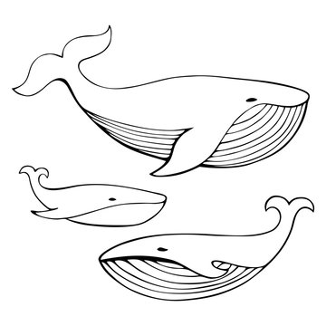 Cute hand drawn whales set. Monochrome Vector Illustration.