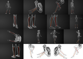 3d rendering illustration of the fibula bone