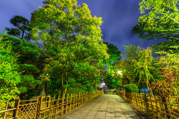 Green park in Kyoto at night, Japan