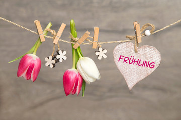 Tulpen und Herz: Frühling