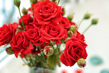 Beautiful flowers, closeup