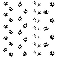 Black Animal Tracks Set. Vector