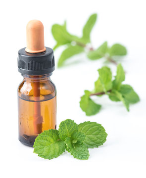 fresh mint essential oil on a white background