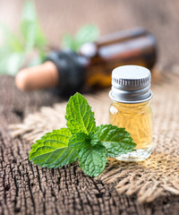 fresh mint essential oil on wood background