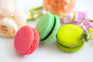 Multicolored macaroon cookies and flowers on a white background.