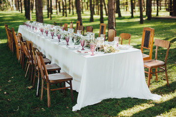 Festive table served dishes and decorated with branches of greenery, stands on green grass in the area of wedding party
