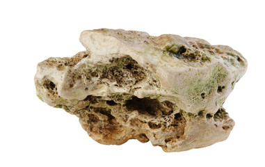 marine reef aquarium isolated on a white background