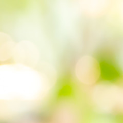 Obraz premium Green bokeh on nature defocus art abstract blur background