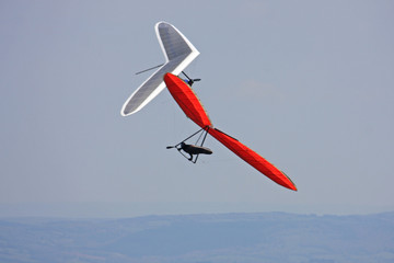 Hang gliders flying