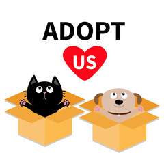 Adopt us. Dont buy. Dog Cat inside opened cardboard package box. Ready for a hug. Puppy pooch kitten cat looking up to pink heart. Pet adoption. Flat design. Help animal concept. White background.