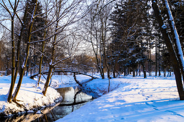 Beautiful winter landscape in the Park river bridge