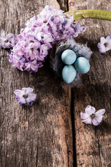 Spring hyacinth on wooden background. Hyacinthus, gardening concept.