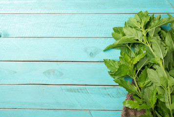 Holy basil leaves on wooden background, Copy space