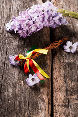 Spring hyacinth on wooden background. Hyacinthus, gardening concept.