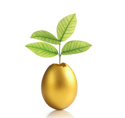 golden  easter egg isolated