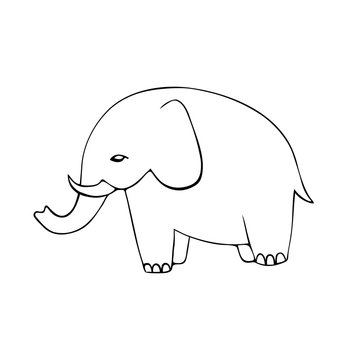 Cute hand drawn elephants set. Colorful Vector Illustration.