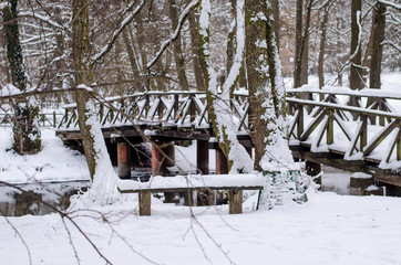 Nature park Vrelo Bosne near Sarajevo - Bosnia and Herzegovina, winter scene