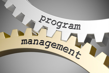 program management / Cogwheel