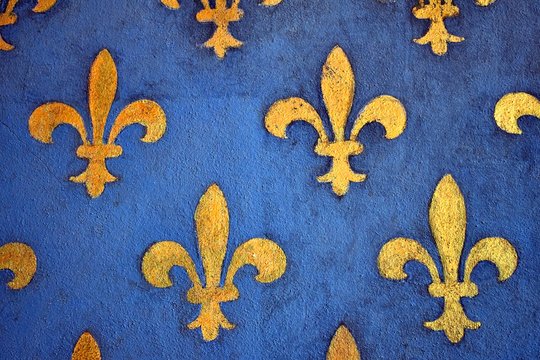 affresco del Giglio Francese, nella Sala dei Gigli in Palazzo Vecchio,  Firenze in Italia foto de Stock | Adobe Stock