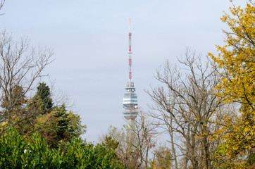 Obraz premium Television tower on the Avala, Belgrade - Serbia