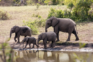 Marloth Park Game Reserve South Africa