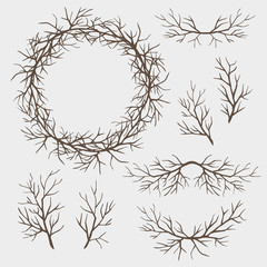 Set of branches