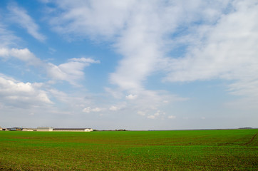 Green filed with a beautiful cloudscape
