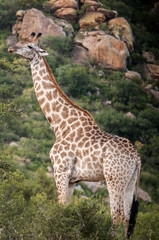 Marloth Park Game Reserve South Africa