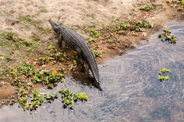 Marloth Park Game Reserve South Africa