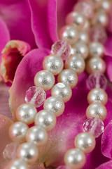 
Eine Perlenkette liegt auf Rosenblättern