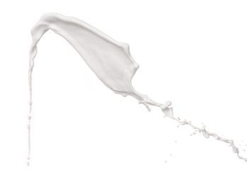 Milk splash on White Background
